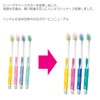 Mystical Rig Mountain Notebook Toothbrushes Kline Normal 12 Pairs (Colors)