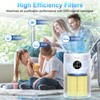 Tailulu D10 Replacement Filter,Air Purifier Filter for Tailulu D10 Air