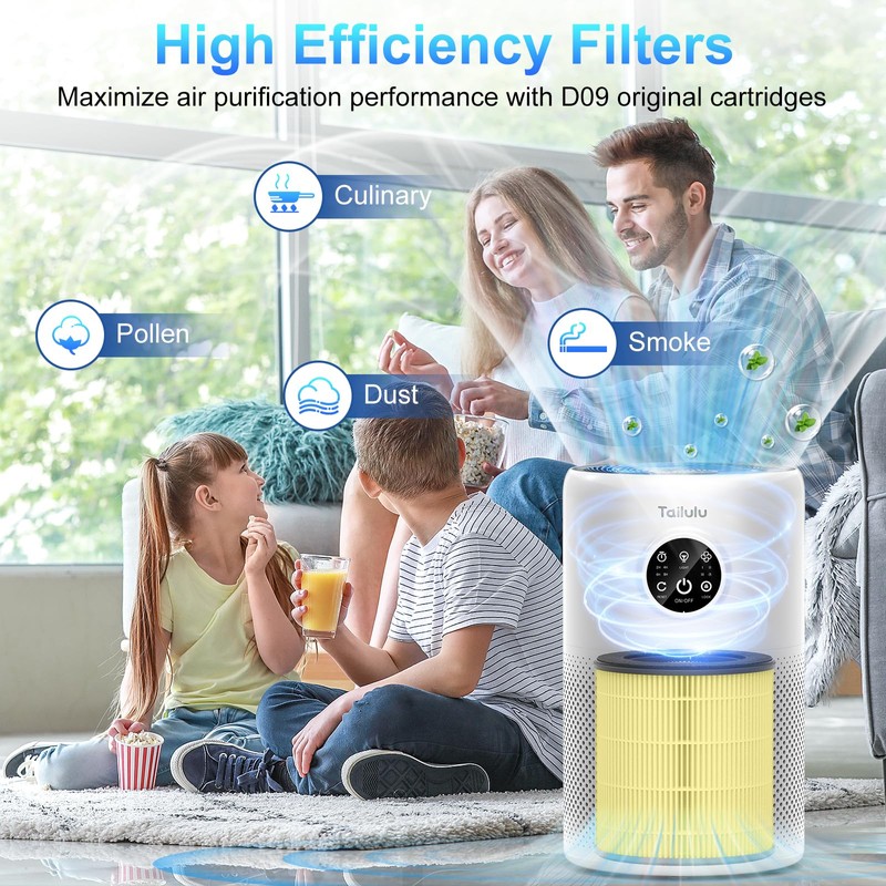 Tailulu D10 Replacement Filter,Air Purifier Filter for Tailulu D10 Air