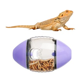 LUTER Bearded Dragon Toy, Reptile Toys Lizard Enrichment Toys Bearded Dragon Feeding Toys Reptile Enrichment toy For Lizards Bearded Dragons Geckos Small Reptiles (Purple)