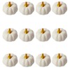 12Pcs White Artificial Pumpkins Bulk Autumn Decoration Set,Thanksgiving Pumpkin Decorations,Decorative