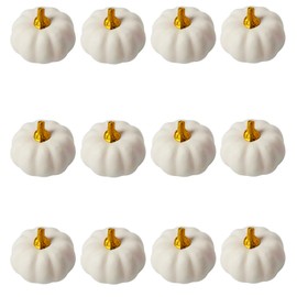 12Pcs White Artificial Pumpkins Bulk Autumn Decoration Set,Thanksgiving Pumpkin Decorations,Decorative Pumpkins Faux Harvest Fake Mini Foam Pumpkins for Crafts,Fall,Wedding,Home Halloween Party Decor