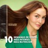 TinteNutrisseNutrisse coloríssimosMascarilla nutricolor permanentetono 6646 cobrizo rubípara cabello