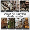 CARPOLY 2-in-1 Rust Converter & Metal Primer with Brush(5.29 Oz),