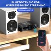 4.1 Channel Bluetooth 5.0 Home Audio Amplifier System - 1600W