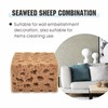 Nichiyo Large Paint Sponge Sea Sponges Unbleached Ceiling Art Texture