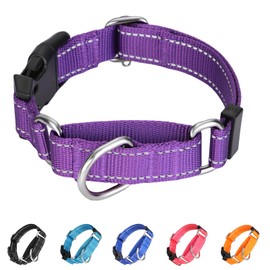 BXPAW Martingale Collar for Dogs,Reflective Martingale Dog Collars with Quick Release Buckle,Adjustable Nylon No Pull Dog Collar for Walking Training(Purple, Extra Large)