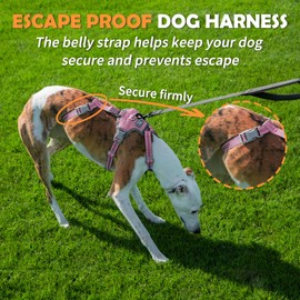 Huntboo Escape Proof Dog Harness – No Pull, No Slip, Fully Reflective, Adjustable 7-Point Design for Small, Medium, and Large Dogs – Lightweight for Outdoor Training & Hiking (Pink, S)
