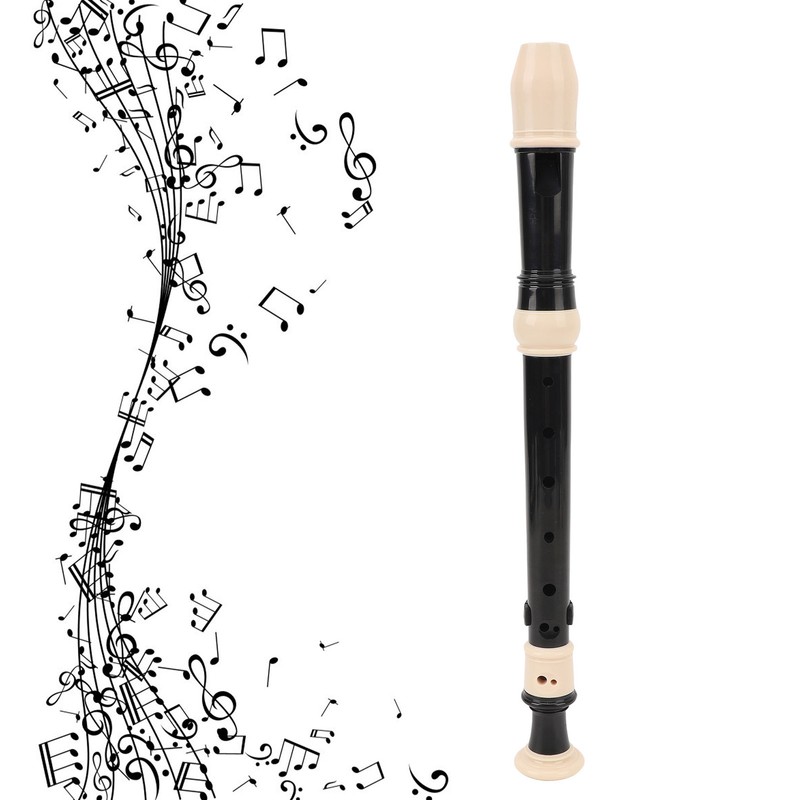 8 Hole Recorder Detachable Soprano Recorder Musical Instrument with Cleaning
