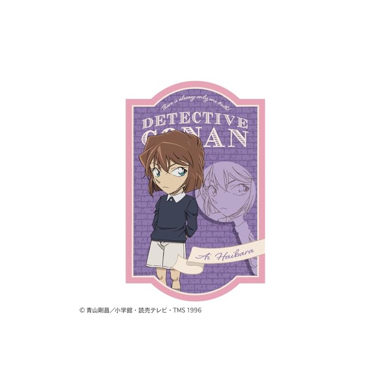 Toshin Pack Detective Conan Sticker (Mystery Frame Ai Haibara) CO-SE085