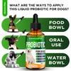 Probiotics for Dogs | Liquid Probiotics for Dogs | Prebiotic