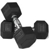 Titan Fitness 20 LB Pair Free Weights, Black Rubber Coated