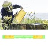 5Pcs Plastic Beehive Nest Door Bee Box Gate AntiEscape Beekeeping