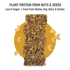 Tosi Organic SuperBites Vegan Snacks, Cashew, 2.4 Oz, Pack of 1