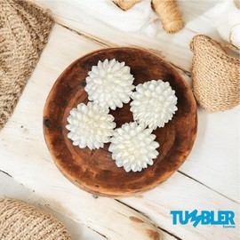 Tumbler Home Real White Seashell Sphere - 3 Inches Wide - Beach House Shelf Decor - Coastal Decorative Balls for Bowls