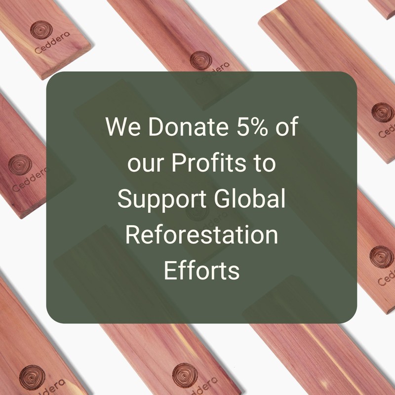 Ceddera Cedar Hang Ups 14 Pack | Natural Cedar Blocks