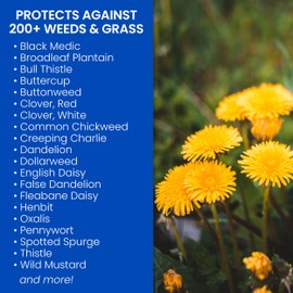 BioAdvanced Lawn Weed Killer Ready-to-Spray, Broadleaf Formula, 32 oz