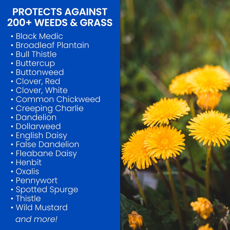 BioAdvanced Lawn Weed Killer Ready-to-Spray, Broadleaf Formula, 32 oz