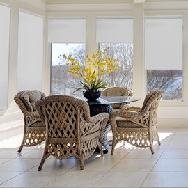 CALYX INTERIORS Blackout Roller Shades, Thermal Insulating Blinds, Cordless, 24" W x 72" H, White