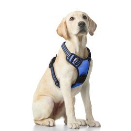 Funfox Dog Harness Large Dog, 2 Clips No Pull Vest Harness Handle Control, Adjustable Pet Harness with Reflective Strips Outdoor Traction Specialized Chest Harness Safe Walking Dog, Blue, XL