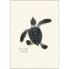 Earth Sky + Water - Sea Turtle Hatchling Assortment Notecard