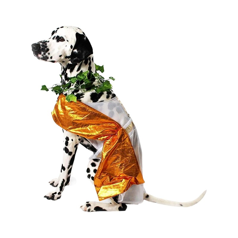 Midlee Toga Dog Costume