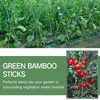 Suclain 50 Pcs 4 Feet Bamboo Stakes for Plant Support