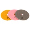 Briny River 3pcs 4-inch Dry Wet 3 Step Diamond Polishing