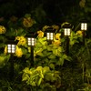 SOLPEX 16 Pack Solar Outdoor Lights, Path Lights, Walkway Lights