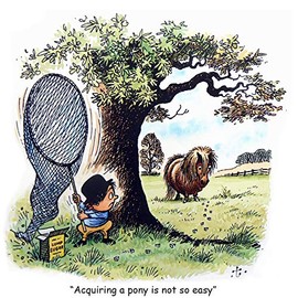 Thelwell Horse riding greeting card. How to get a pony. Fun cartoon