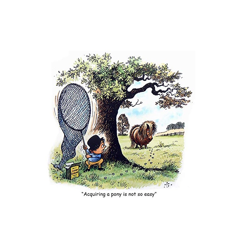 Thelwell Horse riding greeting card. How to get a pony.