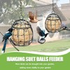 Fat Ball Holder, Pack of 4 Chit Ball Holder, Bird