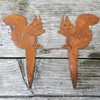Flower Bed Stakes, Rust Decoration, Squirrel, Set of 2, Garden
