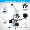 AmScope - M102C-PB10 40X-1000X Biological Compound Microscope with Prepared and