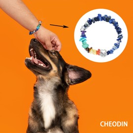 Rainbow Bridge Pet Memorial Bracelet - 7 Colors Chakra, Sympathy Gift for Loss of Dog or Cat, 7MM Mixed Color Gravel Stone, Bracelet for Grieving Pet Owners