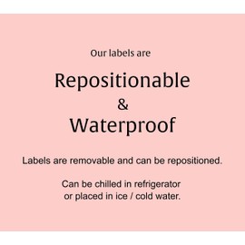 Bridesmaid Mini Champagne Labels ● SET of 10 ● Bridesmaid Proposal, I can't say I DO without you Will You Be My Maid of Honor Ask Bridal Party Wine Stickers Bride Tribe Label WATERPROOF M200-IDO-10