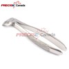 PRECISE CANADA: Set of 3 Dental EXTRACTING Forceps #13S Dental