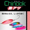 Daiwa Crusader Spoon Lure
