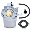 Savior 590399 796077 Carburetor for 21A707 21R707 21R777 21A907 21A977