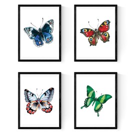 Nacnic Set of 4 Sheets for framing, 4 Colorful Butterflies, Size A4. Home Decor. Paper 250 Grams Decorate The Living Room, or make the perfect