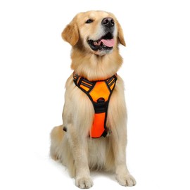 rabbitgoo Dog Harness,No-Pull Pet Harness with 2 Leash Clips,Adjustable Soft Padded Dog Vest,Reflective No-Choke Pet Oxford Vest with Easy Control Handle for Large Breeds,Orange (L, Chest 20.5-36")