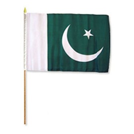 AES Pakistan 12"x18" Stick Flag (6)
