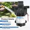 DICMIC 4.0 GPM 12V DC 45 PSI Revolution Water Pump