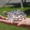 Adornos De Tortuga Pequeña Para Decorar En Casa Agua