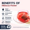 Hibiscus Tea Bags, Hibiscus Flower Herbal Tea - Caffeine &
