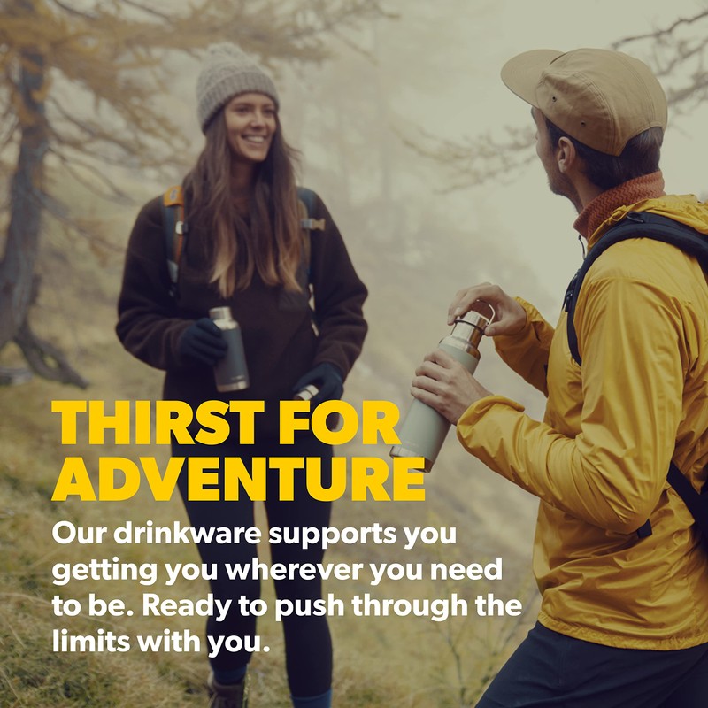 Dometic Stainless steel insulated bottle (16 oz, Moss)