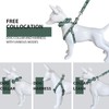 Dog Collar and Harness with Leash Set, Breathable Puppy Harnesses