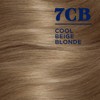 Clairol Nice'n Easy Permanent Hair Dye, 7CB Cool Beige Blonde