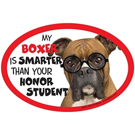 Boxer Car Magnets: My Boxer is Smarter Than Your Honor Student - Oval 6" x 4" Auto/ Truck/ Refrigerator/ Mailbox (Funny Car Decals, Dog Magnet, Boxer)