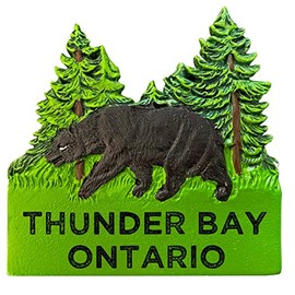 R and R Imports Thunder Bay Ontario Hand Painted Resin Refrigerator Magnet 3-Inch Approximately Bear Design